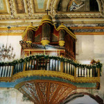 websites for organ geeks