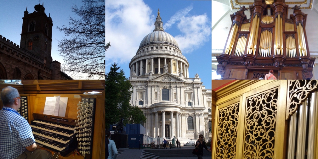 RCO Summer13 collage final