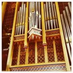 Taking Shape 16 July Ben Nicholas