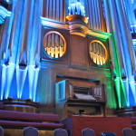 Picture of the month - November