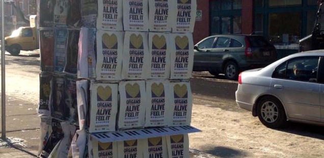 Picture of the month - December